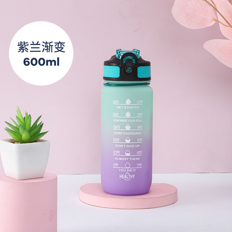 600ml Gradient Tumbler with Handle and Flip Lid