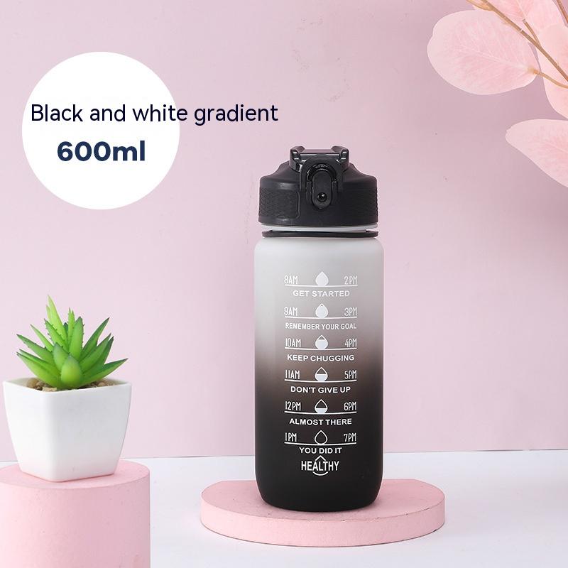 600ml Gradient Tumbler with Handle and Flip Lid