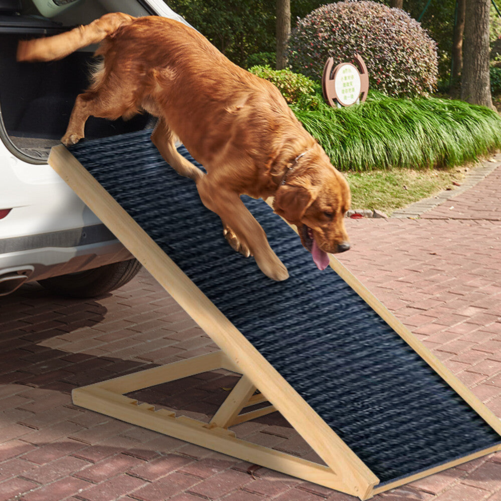 Foldable Dog Ramp | Adjustable Height Pet Stairs for Bed, Sofa & Car