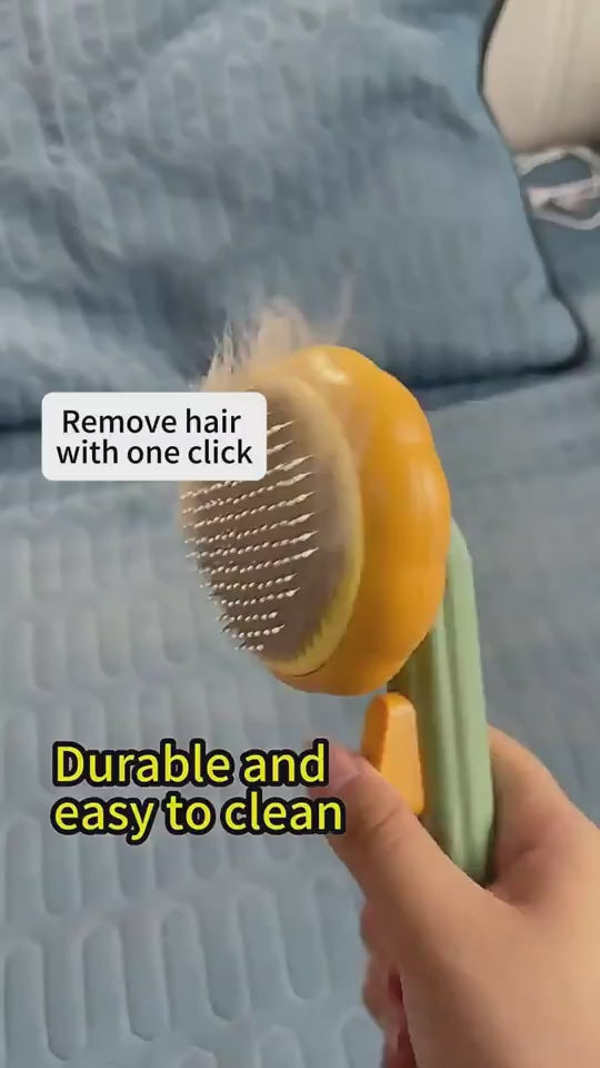 Product demonstration video